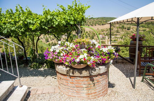 Photo 26 - La Pergola del Chianti