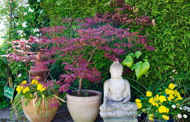 Malvern Holiday Garden Flat - Foto 25