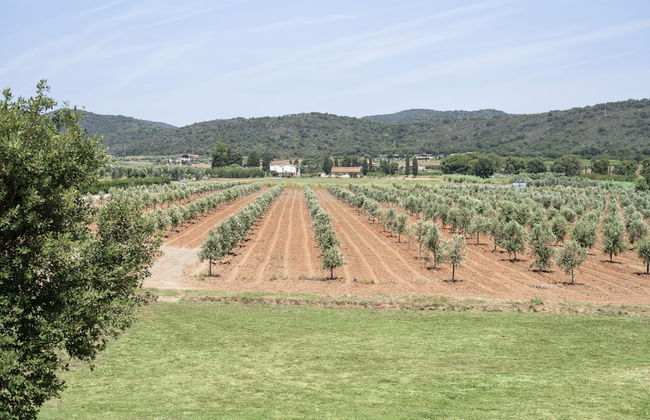 Agriturismo Terre di Castiglione - Foto 52