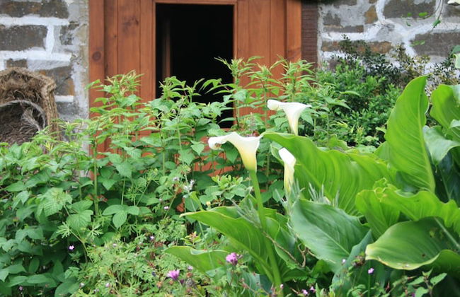 Agroturismo Amalau - Foto 17
