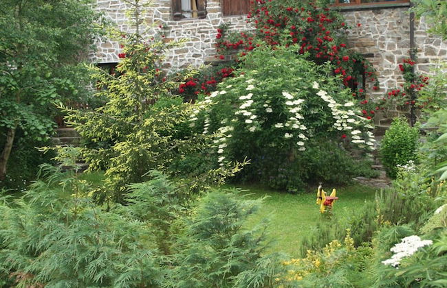 Agroturismo Amalau - Foto 18