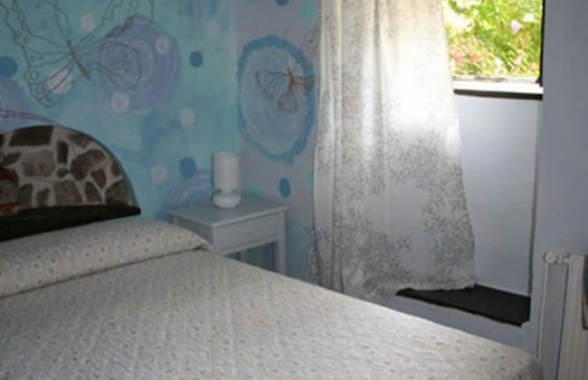 Agroturismo Amalau - Foto 5