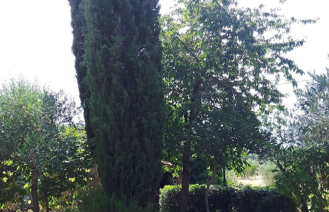 Borgo Cenaioli - Foto 36
