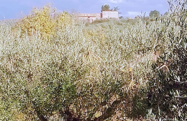 Borgo Cenaioli - Foto 41