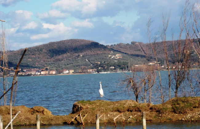 Borgo Cenaioli - Foto 16
