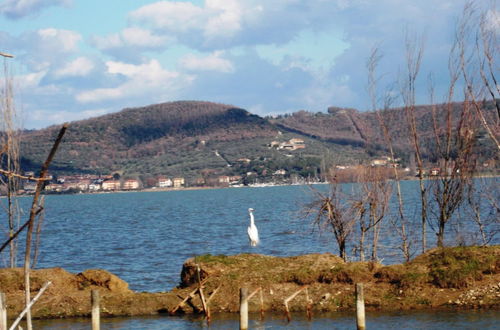 Photo 16 - Borgo Cenaioli