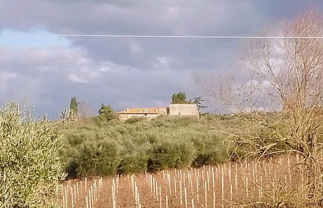 Borgo Cenaioli - Foto 44