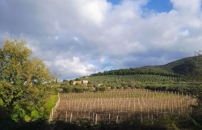 Borgo Cenaioli - Foto 42