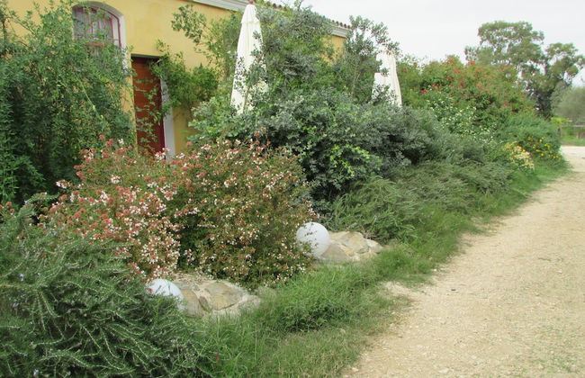 Cavalli di S'Arcaite - Photo 51
