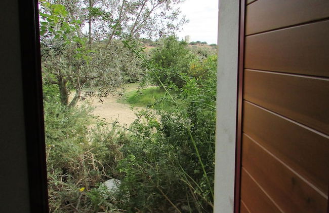 Cavalli di S'Arcaite - Photo 25