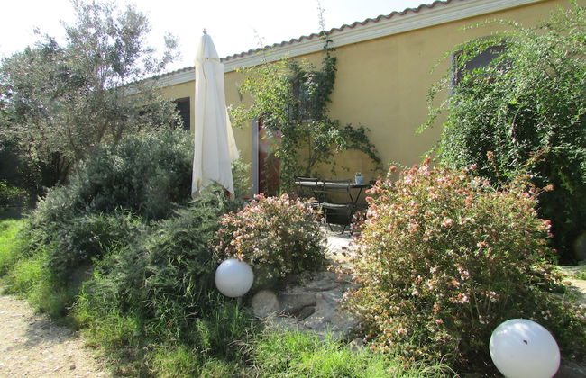 Cavalli di S'Arcaite - Photo 54