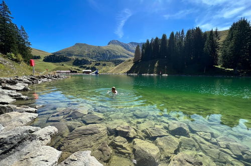 Photo 20 - Apart Hotel Adelboden am Dorfplatz