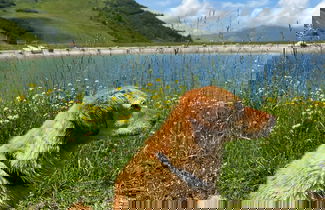 Foto 21 - Apart Hotel Adelboden am Dorfplatz