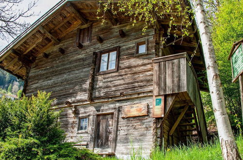 Photo 19 - Apartment in Hainzenberg in a ski Area