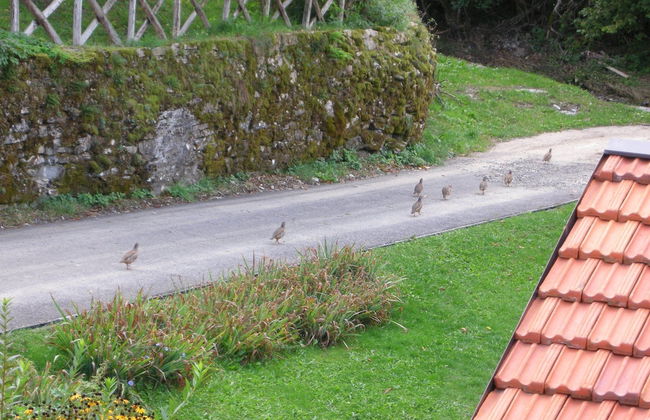 Welcome to Casa Terracotta a Cosy Self-catering Holiday Home - Foto 26