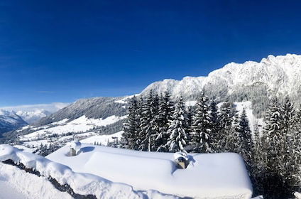 Photo 52 - Alpbach Bergwald