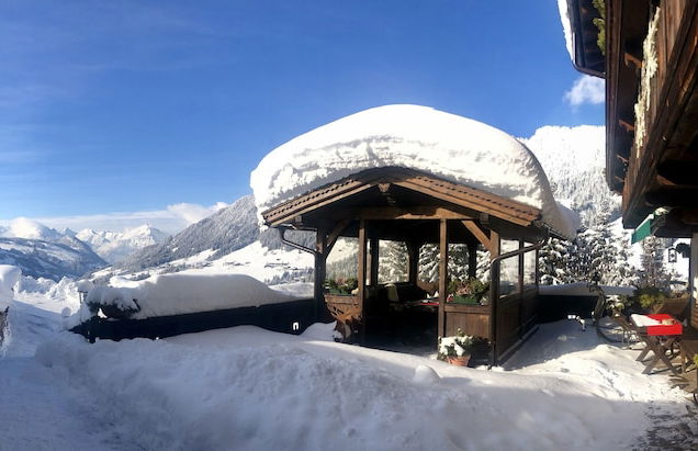 Alpbach Bergwald - Foto 42