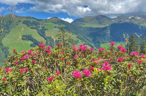 Foto 58 - Alpbach Bergwald