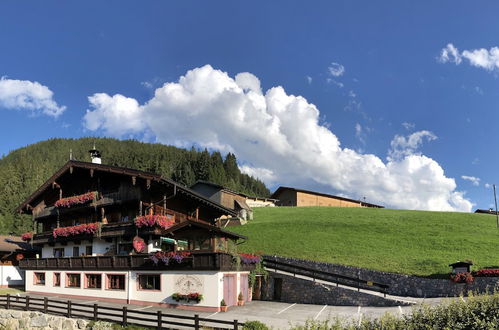 Photo 37 - Alpbach Bergwald