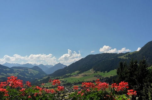 Photo 56 - Alpbach Bergwald