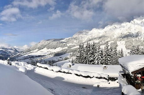 Foto 49 - Alpbach Bergwald