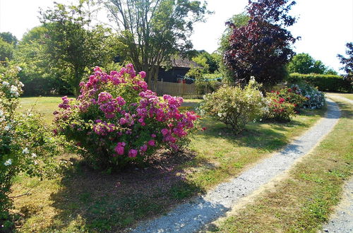 Photo 17 - Brundish, Suffolk Barn, 2 Bed Idyllic 6 Acres