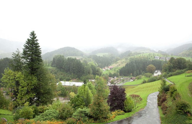 Ferienwohnung, Bad Peterstal - Foto 31