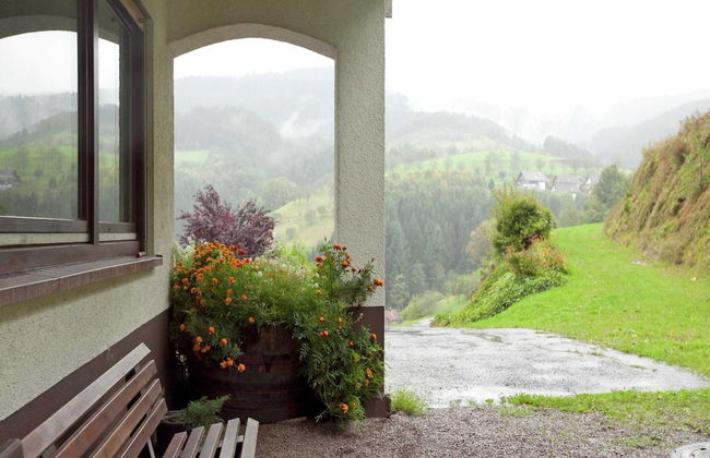 Ferienwohnung, Bad Peterstal - Foto 16