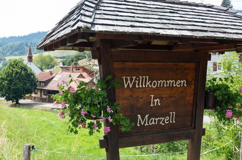 Photo 23 - Apartment in Malsburg-marzell With Private Garden