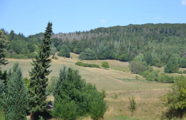 Hillside Retreat in Frankenau - Foto 35