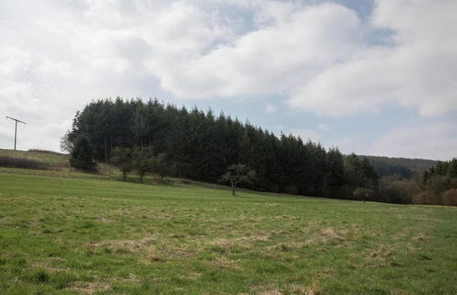 Tranquil Eifel Hideaway - Foto 31