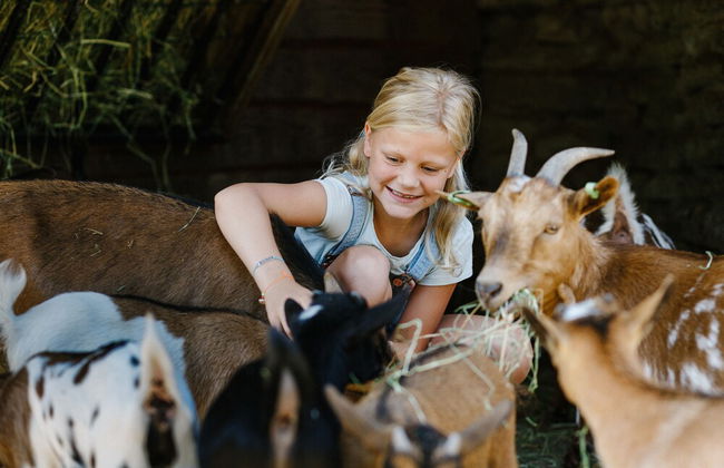 Vakantiepark Dierenbos - Foto 19