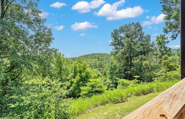 Black Bear Lodge - 1 Mile From Silver Dollar City - Photo 23