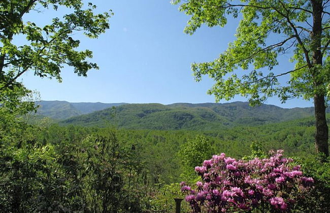 Seneca - Foto 16
