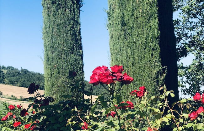 Villa Bella Rosa - Foto 40