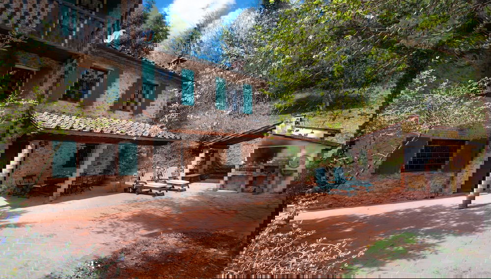 Imagem principal