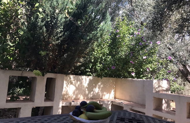 La Casita De Lola - Foto 15