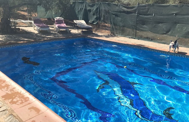 La Casita De Lola - Foto 22