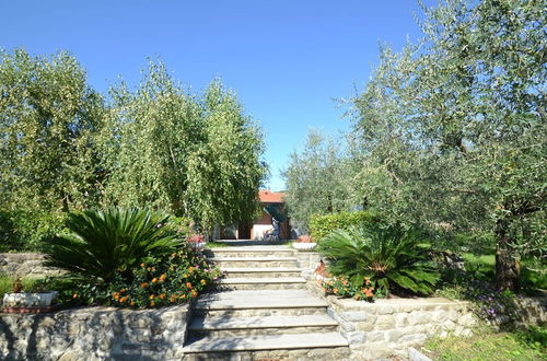 Photo 31 - House in Pistoia Countryside