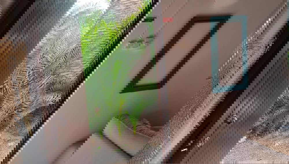 Imagem principal