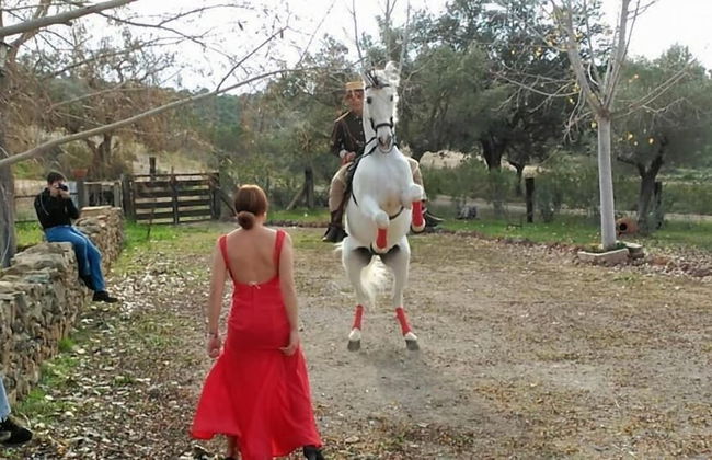 Finca Los Caleros - Foto 33