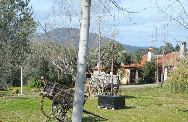 Finca Los Caleros - Foto 21