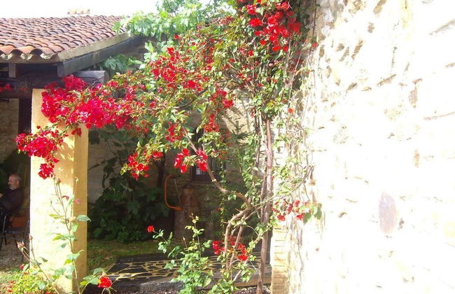 Finca Los Caleros - Foto 24