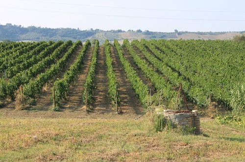 Foto 45 - Agriturismo Rosso di Sera