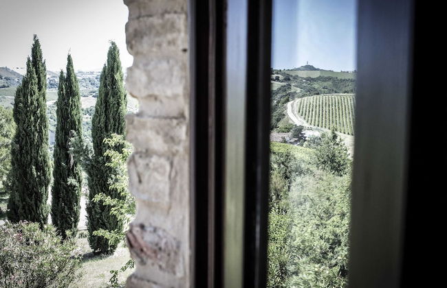 Hillside Retreat in San Savino - Foto 35