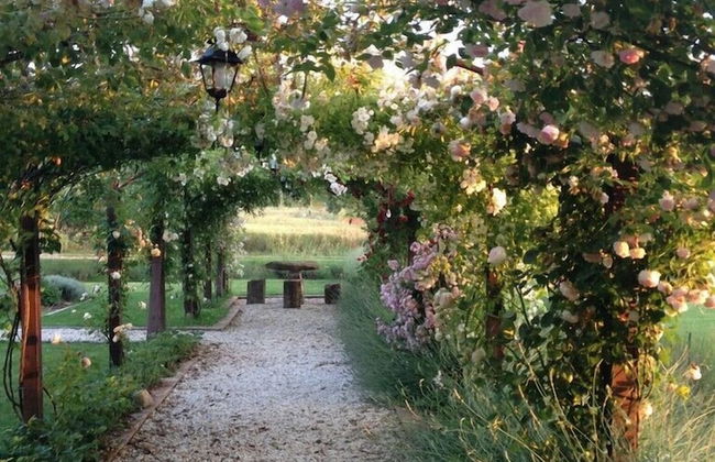 Abbazia Sette Frati Agriturismo Fratres - Foto 38