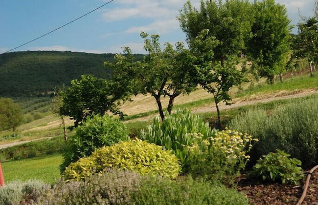 Abbazia Sette Frati Agriturismo Fratres - Foto 35
