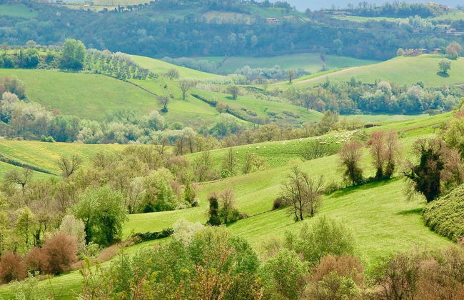 Villa in Magliano Sabina With Private Pool - Foto 32