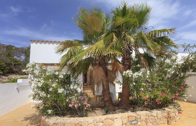 Es Pas Formentera Agroturismo - Foto 35