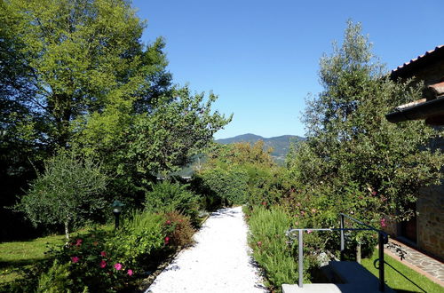 Photo 16 - Holiday Home in Montecarelli With Pool